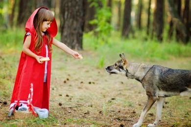 Cute Girl Giving Food To Dog Wallpapers   DreamLoveWallpapers