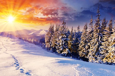 Stunning Winter Backgrounds