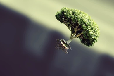 Download Wallpapers 3840x2400 Tree, Flying, Form, Plant, Fantasy ...