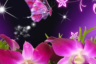 3D Butterfly Magic Wallpapers Download   3D Butterfly Magic ...