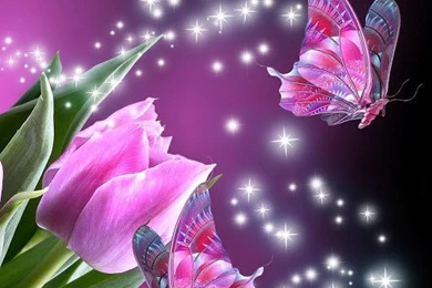 3D Butterfly Magic Wallpapers Download   3D Butterfly Magic ...