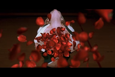 Perfumes & Cosmetics: American Beauty In Austin