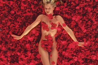 Wallpapers Beauty American Photo N 1024x768