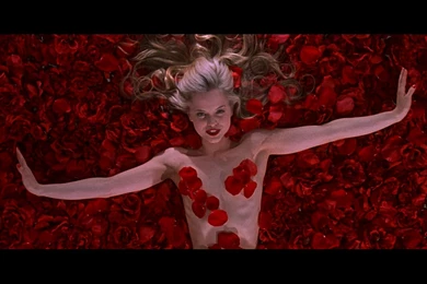 American Beauty   Movie Wallpapers