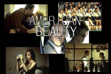 American Beauty   American Beauty Wallpapers (442165)   Fanpop