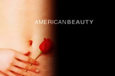 My Free Wallpapers   Movies Wallpapers : American Beauty