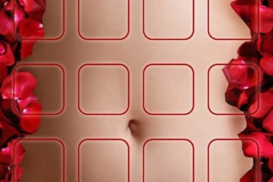 American Beauty Dock Creative Designs Wallpapers For iPhone ...