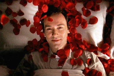 1600x882px American Beauty