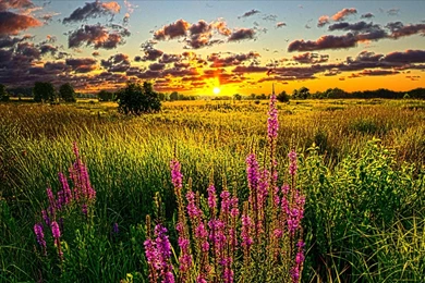 New Hd Wallpapers Download Collection (36+)