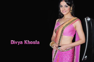 Download Laptop Wallpapers Bollywood Actress   Hot Bollywood ...