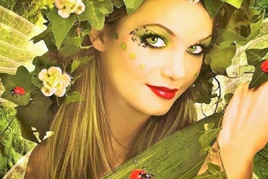 1280x1024 Pretty Lady Bug Fairy Desktop PC And Mac Wallpapers