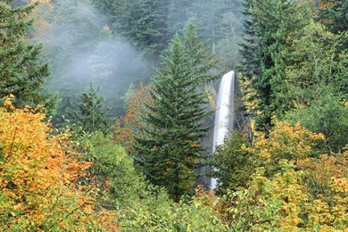 Waterfall Wallpapers