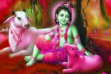 Baby Krishna Wallpapers   Wallpapers High Definition