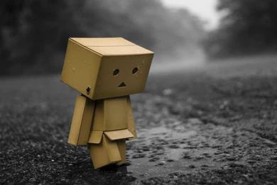 Alone Sad Danbo ~ Mystery Wallpapers