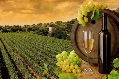 237 Wine HD Wallpapers