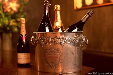 Wine － Cate Wallpapers   Free Download Wallpapers,windows Xp ...