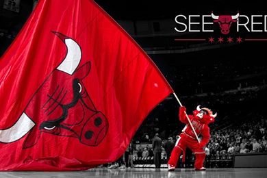 Chicago Bulls Wallpapers Top L7A » WALLPAPERUN.COM