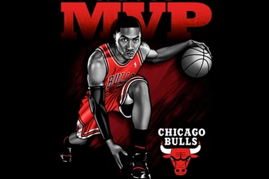 Chicago Bulls Beautiful Latest HD Wallpapers 2012 13