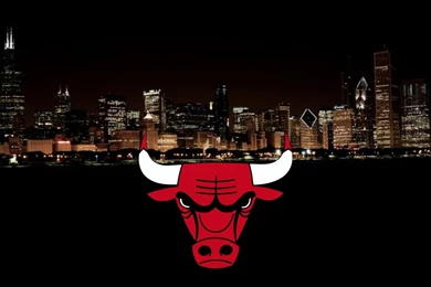 Cute Animal Pictures