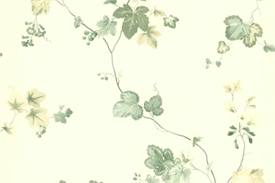 414 43585 Green Ivy   Ivy   Brewster Wallpapers