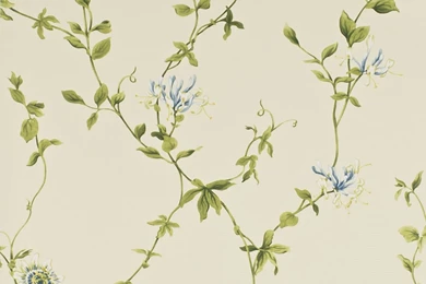 Passion Flower Wallpapers