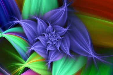 Nice Abstract Blossom New Widescreen Wallpapers