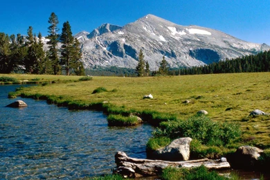 Download Nice Wallpapers   Wallpapers HD Fine