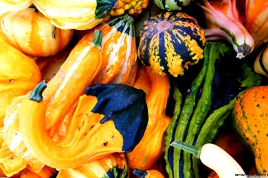 Fall Leaves And Pumpkin Wallpapers