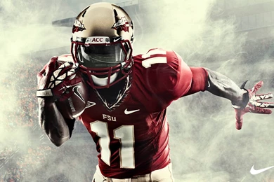 Florida State Wallpapers