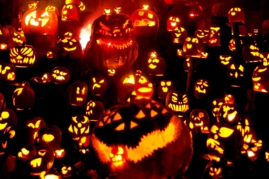 Pumpkin Wallpapers Widescreen