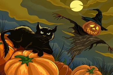 Halloween Pumpkins Wallpapers » WallDevil   Best Free HD Desktop ...