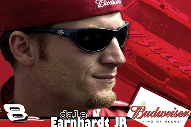 Dale Earnhardt Wallpapers Free
