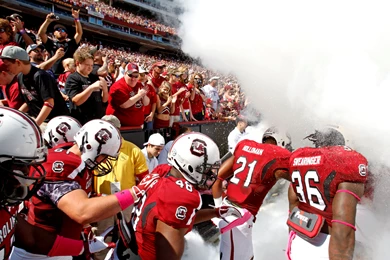 Williams Brice, Gamecocks Make "Official Best Of" South Carolina ...