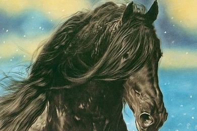 Black Horse   Lesley Harrison Horse Paintings Wallpapers ...