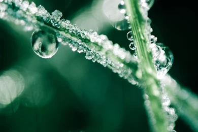 Wallpapers For Samsung S6™   Android Apps On Google Play