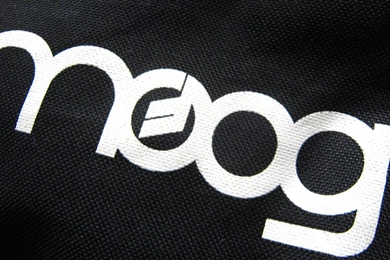 File:Moog Logo On Theremini Gig Bag (photo By Audiotecna).jpg ...