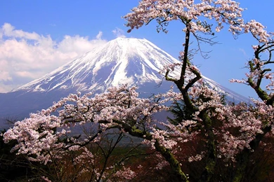 Mount Fuji Landscapes Mountains Wallpapers (