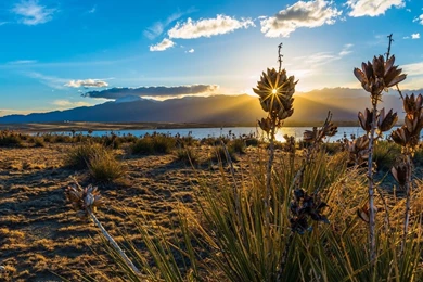 Share Your Wallpapers