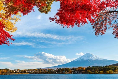 Fuji Wallpapers >> Backgrounds With Quality HD