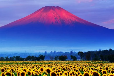 Fuji Mountain Japan Landscape Wallpapers HD Free Download
