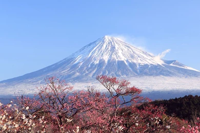 Mt Fuji Wallpapers   Wallpapers Cave