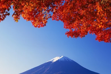 Japan, Fuji, Mountain, Red Leaves 2560x1600   Wallpapers   ImgPrix