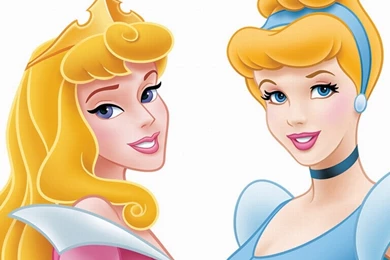 Image   Aurora and Cinderella Wallpaper disney princess 6461863 ...