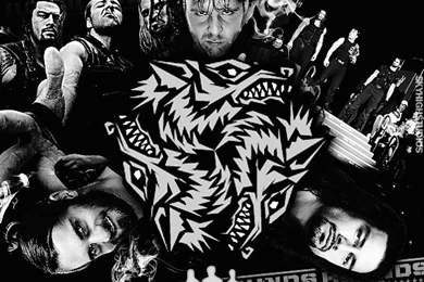 WWE Wallpapers The Shield