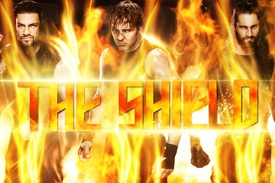 WWE ''The Shield''   Wallpapers 2014