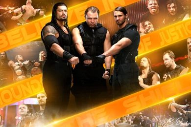 Words Celebrities Wallpapers: The Shield Brand New HD Wallpapers 2014