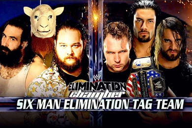 WWE Elimination Chamber 2014   The Wyatts Vs The Shield ...