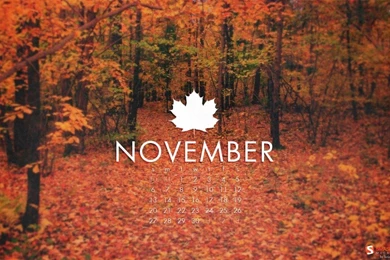 Download Smashing Magazine Desktop Wallpapers Calendar November ...