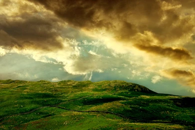 Download Wallpapers: Nature Wallpapers For Wide Screen