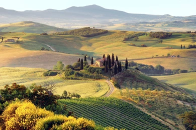 Nature Wallpaper 102.jpg